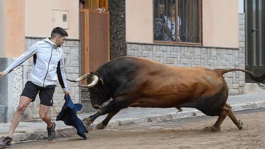 La Vall roza los 100 actos taurinos en la nueva temporada