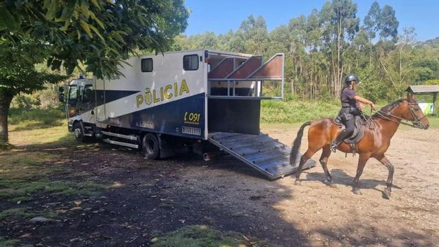 La Unidad de Caballería patrulla en la comarca | FDV