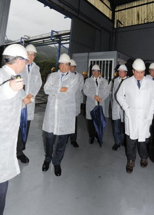 Visita del presidente del Principado a Química del Nalón