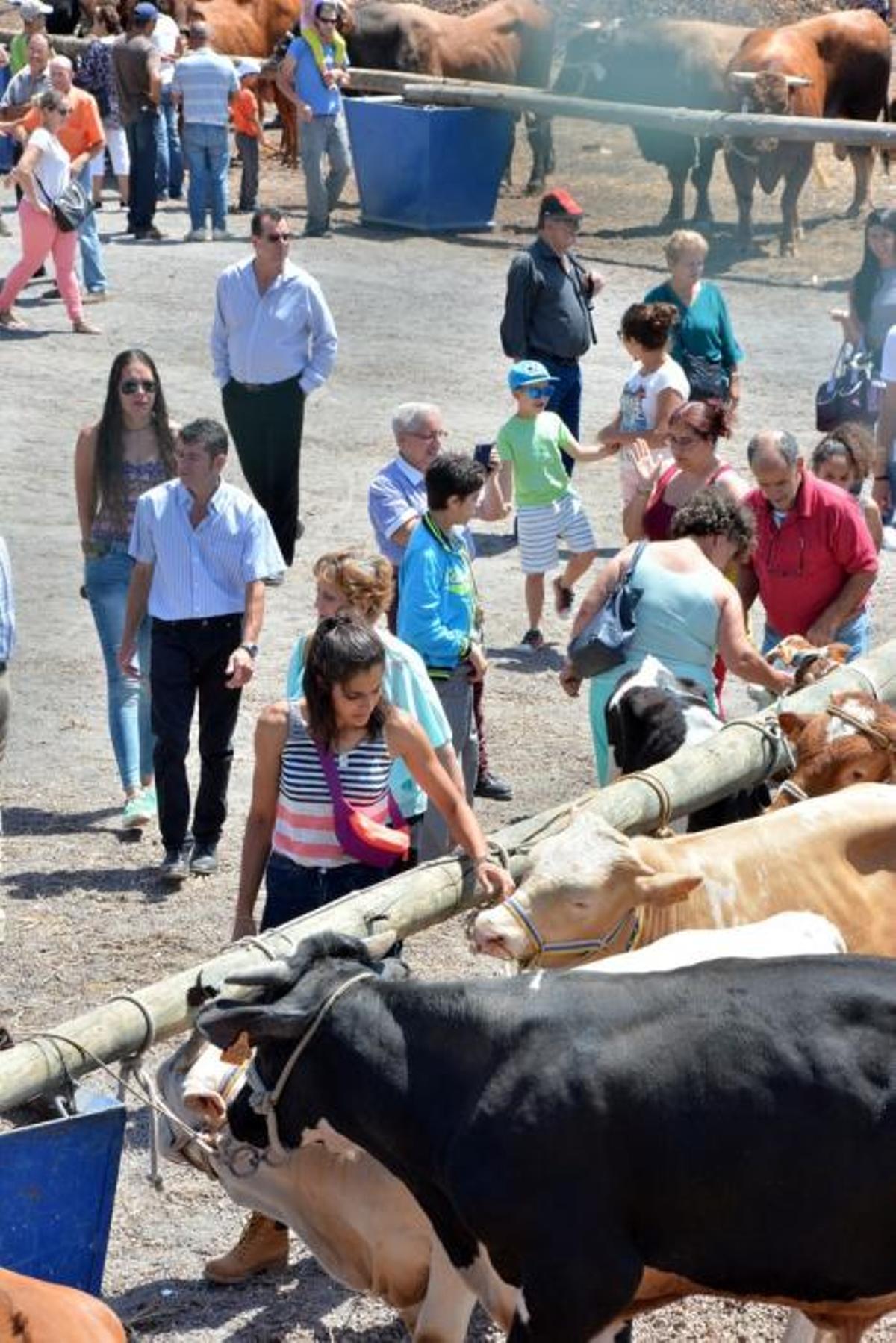 FIESTAS DE SAN PEDRO INGENIO FIESTAS DE SAN PEDRO INGENIO