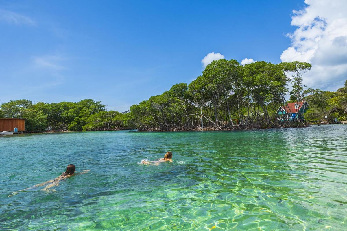 La laguna de Jonesville es uno de los paraísos escondidos del Caribe