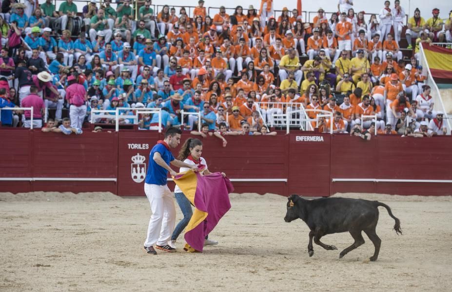 Becerrada, encierros y vaca de la sangría