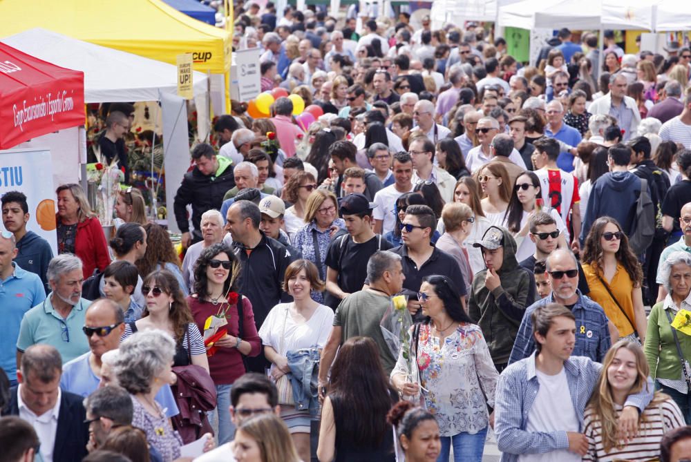 Sant Jordi a Girona