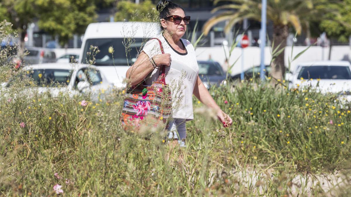 El tiempo en Alicante: Cielos poco nubosos y temperaturas suaves en la provincia de Alicante