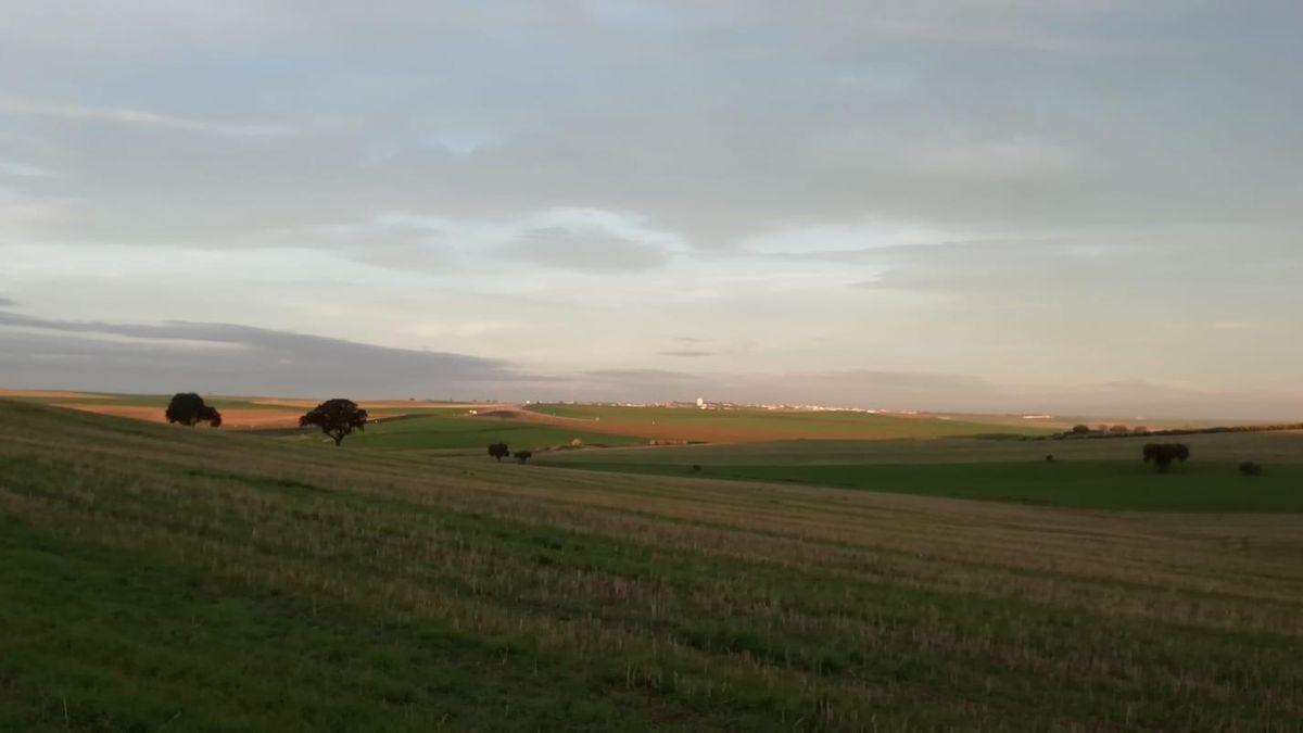 Área incluida en la ZEPA del Guadiato.