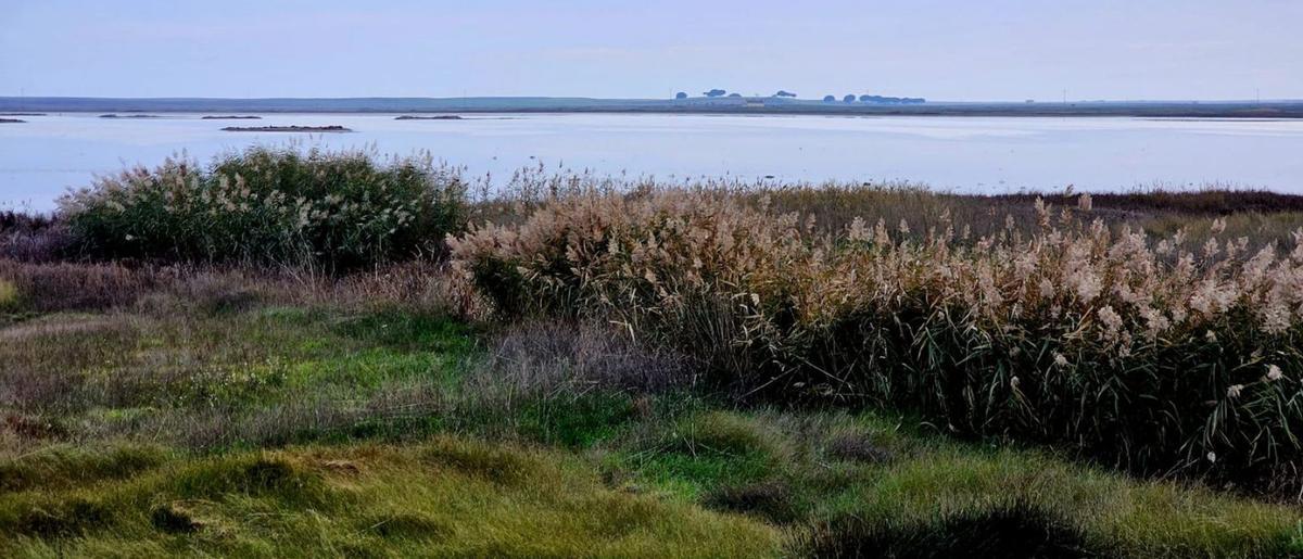 Villafáfila, un edén para las aves