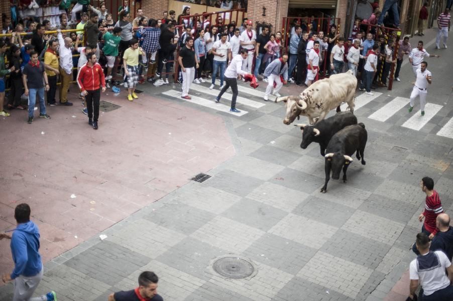 Becerrada, encierros y vaca de la sangría