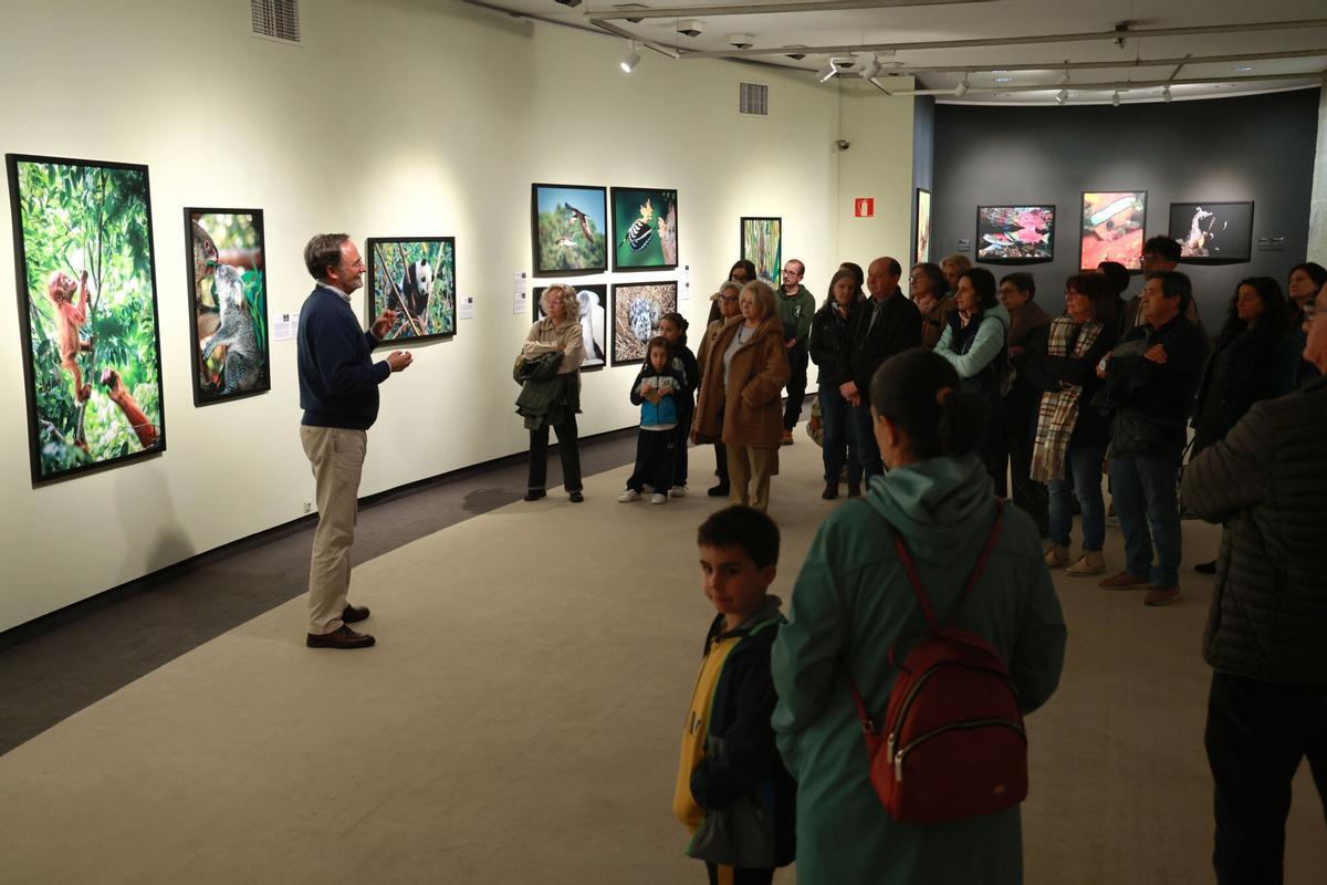 45 especies de animales exponen su maternidad  crianza