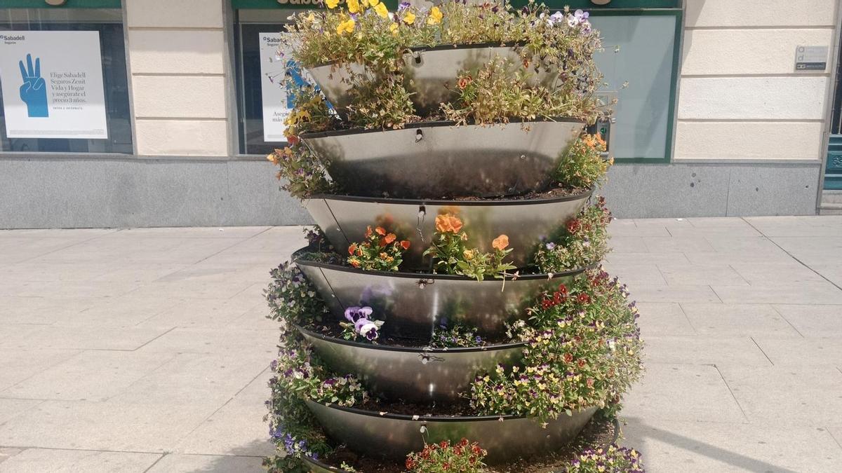 Estado de una jardinera en la plaza de la Constitución de Zamora.