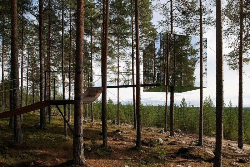 Las casas de árbol más espectaculares del mundo