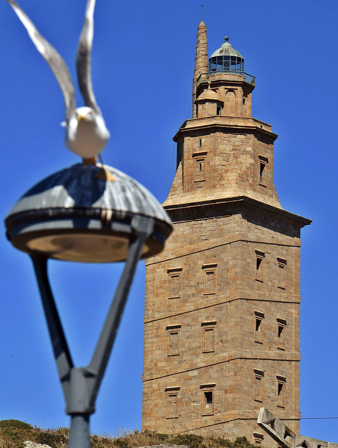 Una gaviota posada sobre una farola junto a la Torre de Hércules.