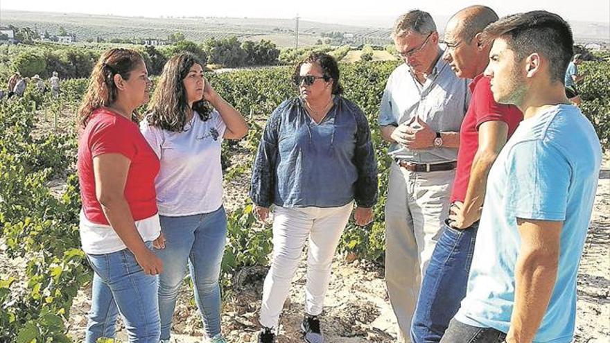 Un proyecto del IES Emilio Canalejo lanzará al mercado seis vinos en un mes