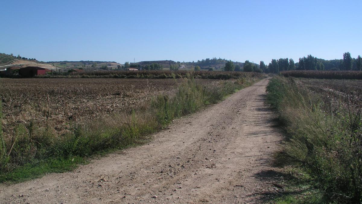 Uno de los caminos del término municipal de Coria que se incluyen en el Catálogo aprobado por el ayuntamiento.