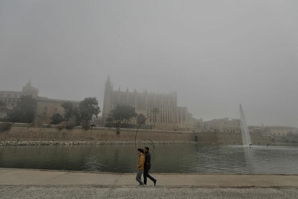 Palma amanece cubierta de niebla