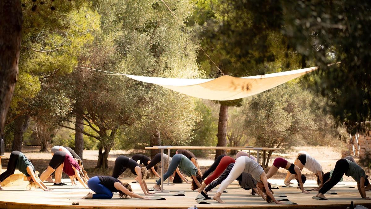 Bosque Masía Bellver propone disfrutar del ocio como una forma de autocuidado.