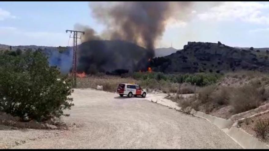 Un incendio de cañaveral en la zona del Castillo del Río en Aspe obliga a cortar la carretera comarcal de Aspe-Alicante