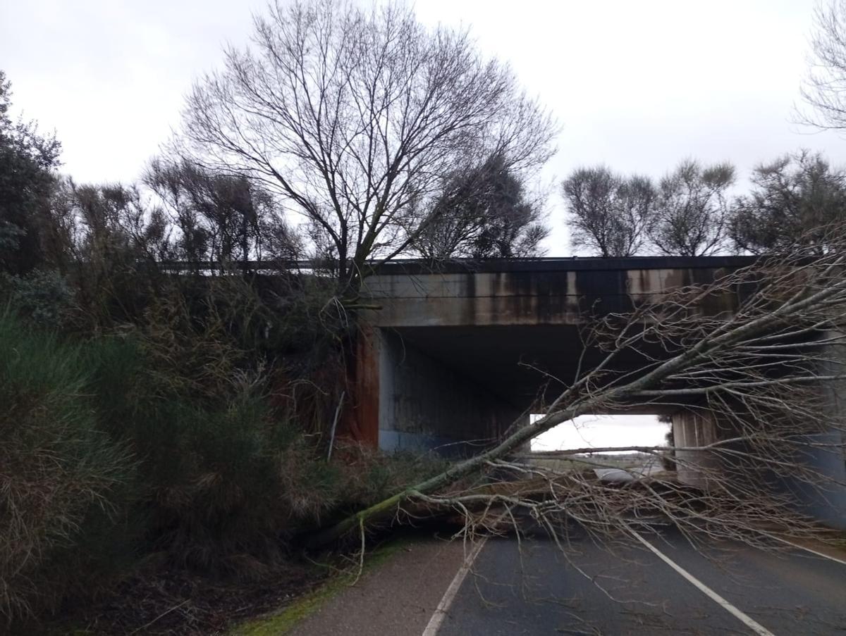 La Diputación mantendrá cerrada la carretera entre Quiruelas y Quintanilla tras el desprendimiento de la aleta del paso inferior de la autovía.