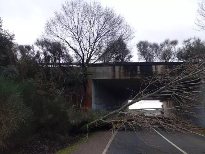 Cortada la carretera ZA‑P‑1510 entre Quintanilla de Urz y Quiruelas tras desprenderse la aleta del paso inferior de la A‑52