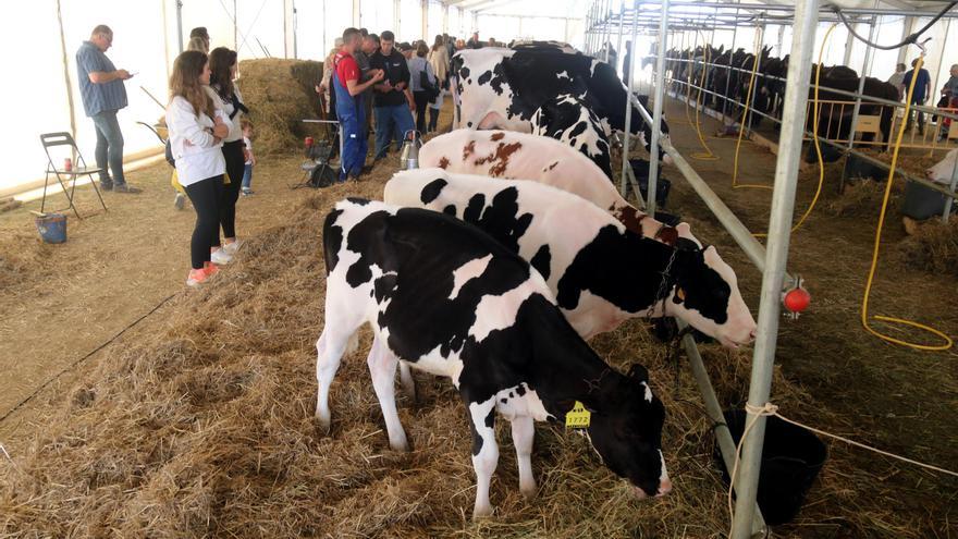 Campllong torna a convertir-se en la capital del món rural i la pagesia