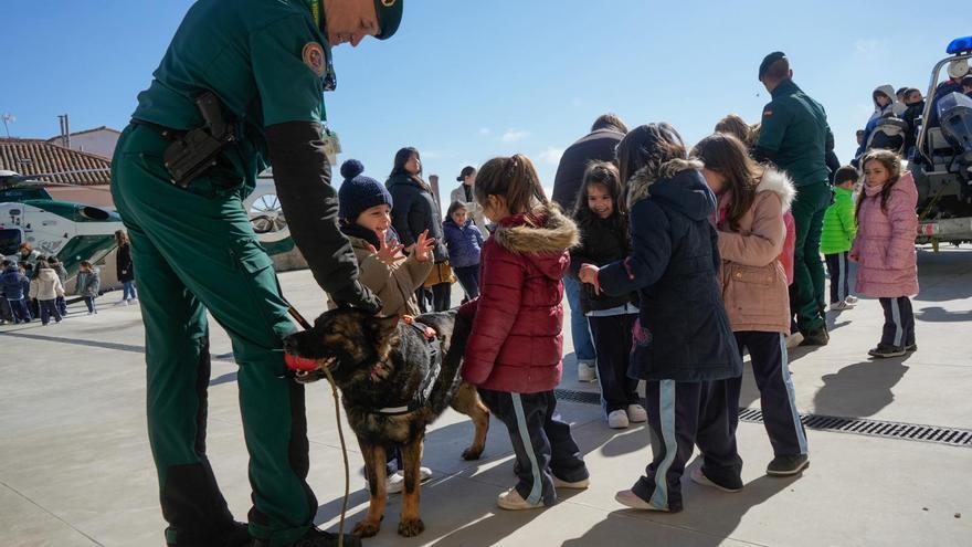 GALERÍA | Charlas, perros y demostraciones: jornadas sobre desaparecidos en Zamora