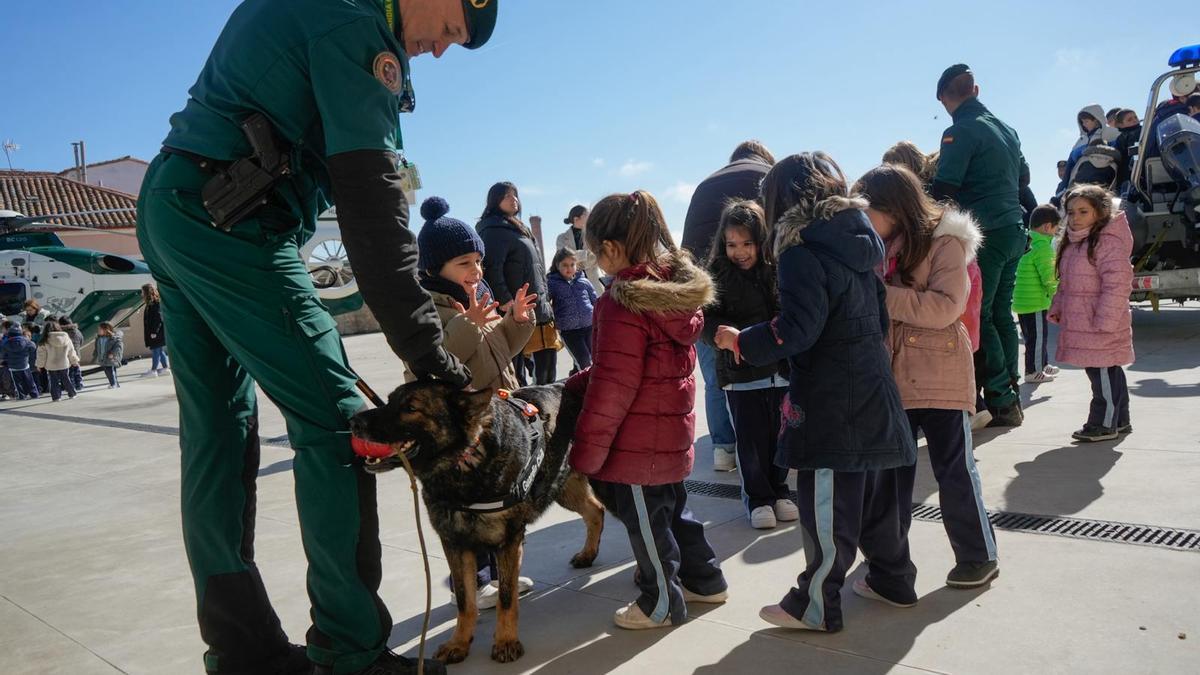 GALERÍA | Charlas, perros y demostraciones: jornadas sobre desaparecidos en Zamora