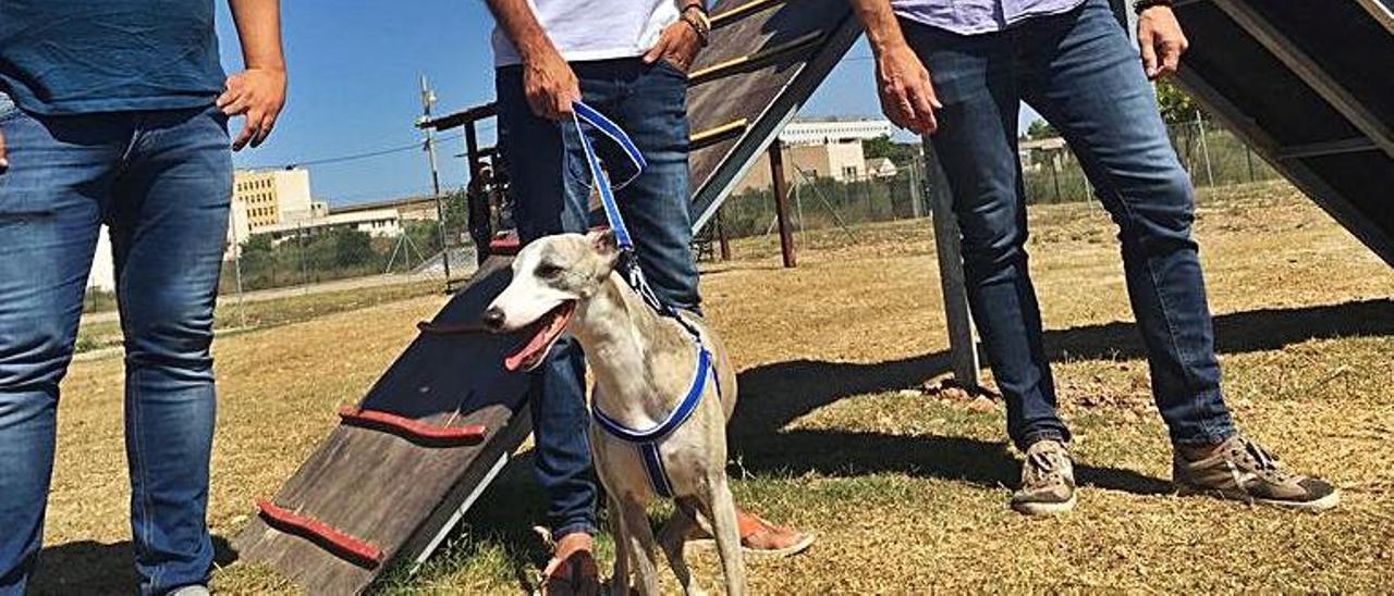 Llodrà, Grimalt y Oliver, ayer en el nuevo parque canino.