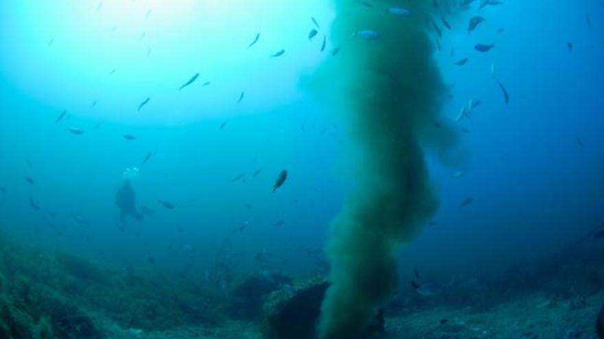 La salida de la canalización submarina de Formentera vierte desde hace dos días un caudal de aguas fecales.