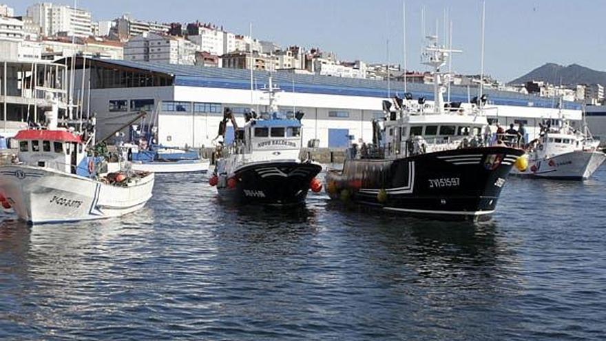 Vista de la lonja viguesa con varios barcos amarrados