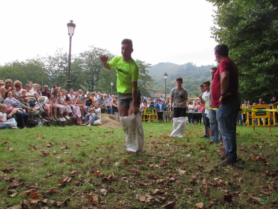 Fiestas del Segador de Benia de Onís