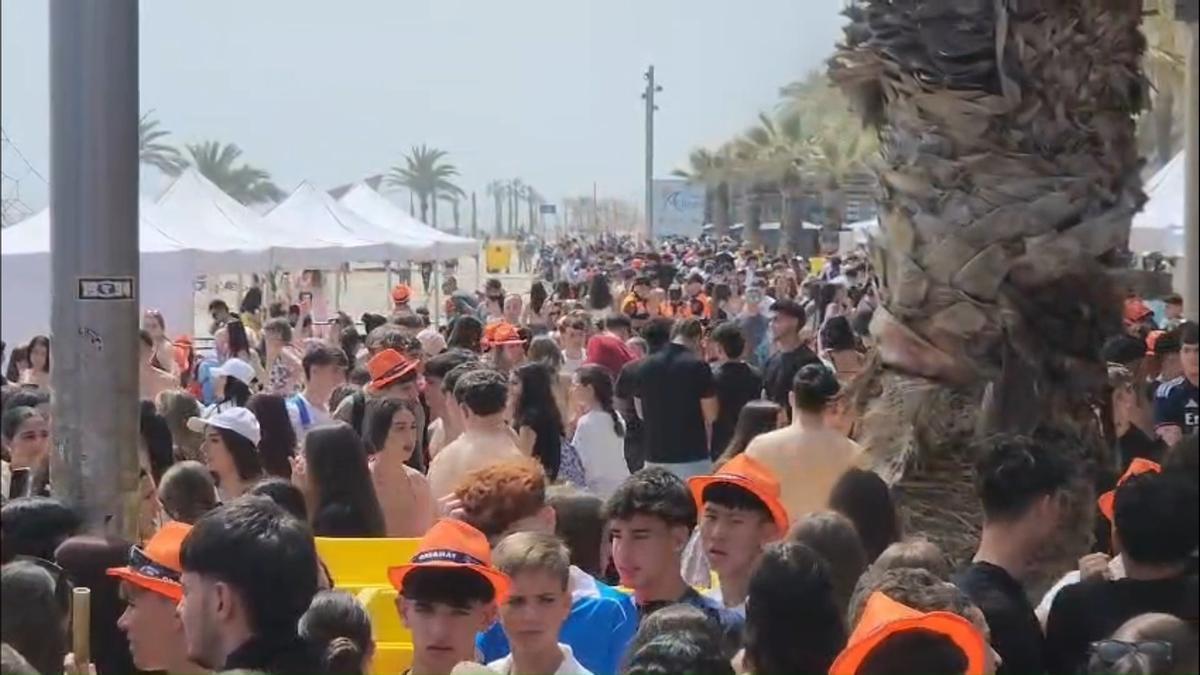 Fiesta Santa Faz 0,0 en Playa de San Juan