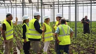 El gobierno invierte 17,3 millones en la recuperación agrícola en Torrent