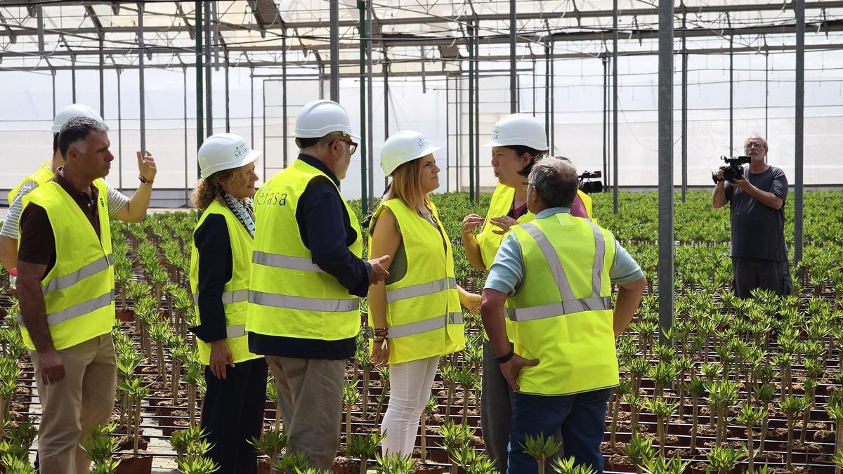 La secretaria en su visita a los viveros en Torrent