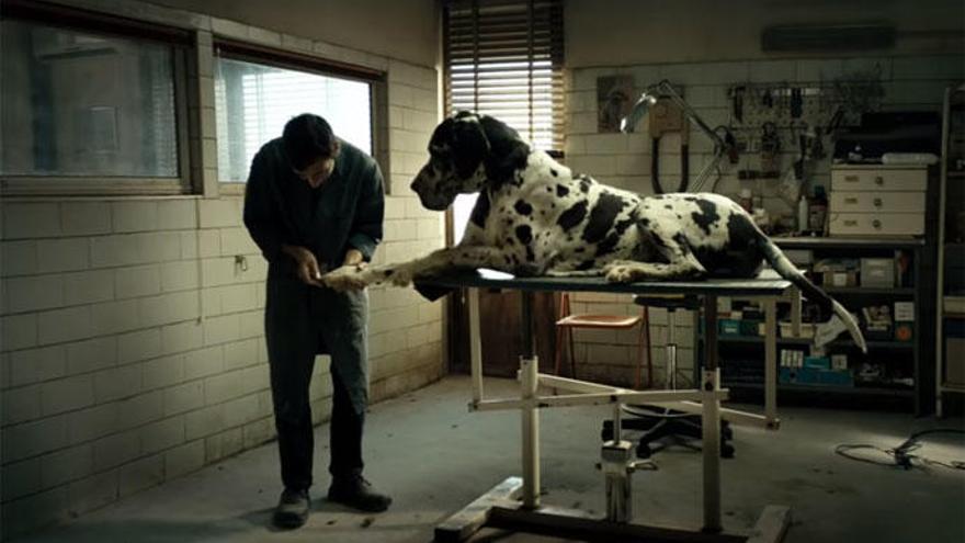 Marcello Fonte interpreta a un peluquero canino en &#039;Dogman&#039;.
