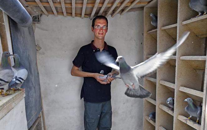 Maxime Renaud, de 26 años de edad, se para en la cooperativa donde cría palomas en Erre, en el norte de Frence, el 18 de junio de 2019.