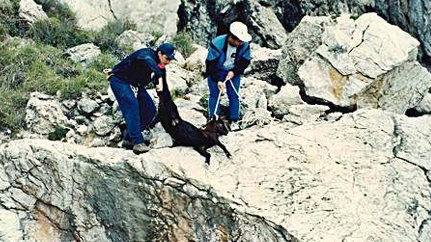 Dos &#039;vedraners&#039; descuelgan una cabra por un acantilado tras &#039;cazarla&#039; en 1995.