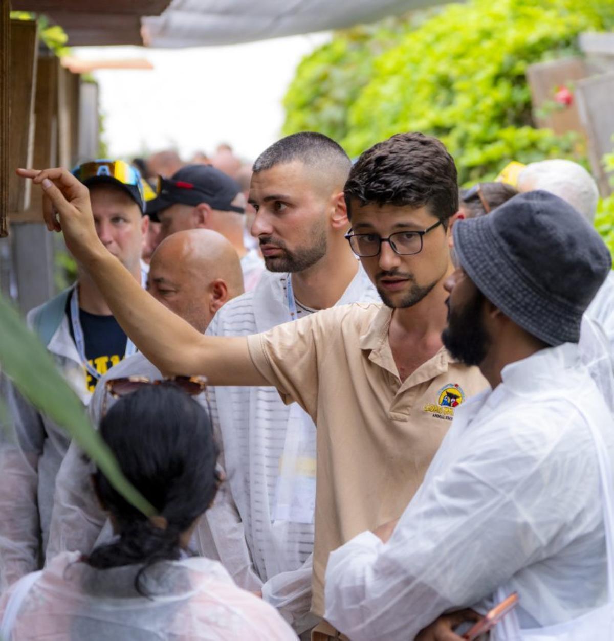 Canarias, capital mundial de los papagayos
