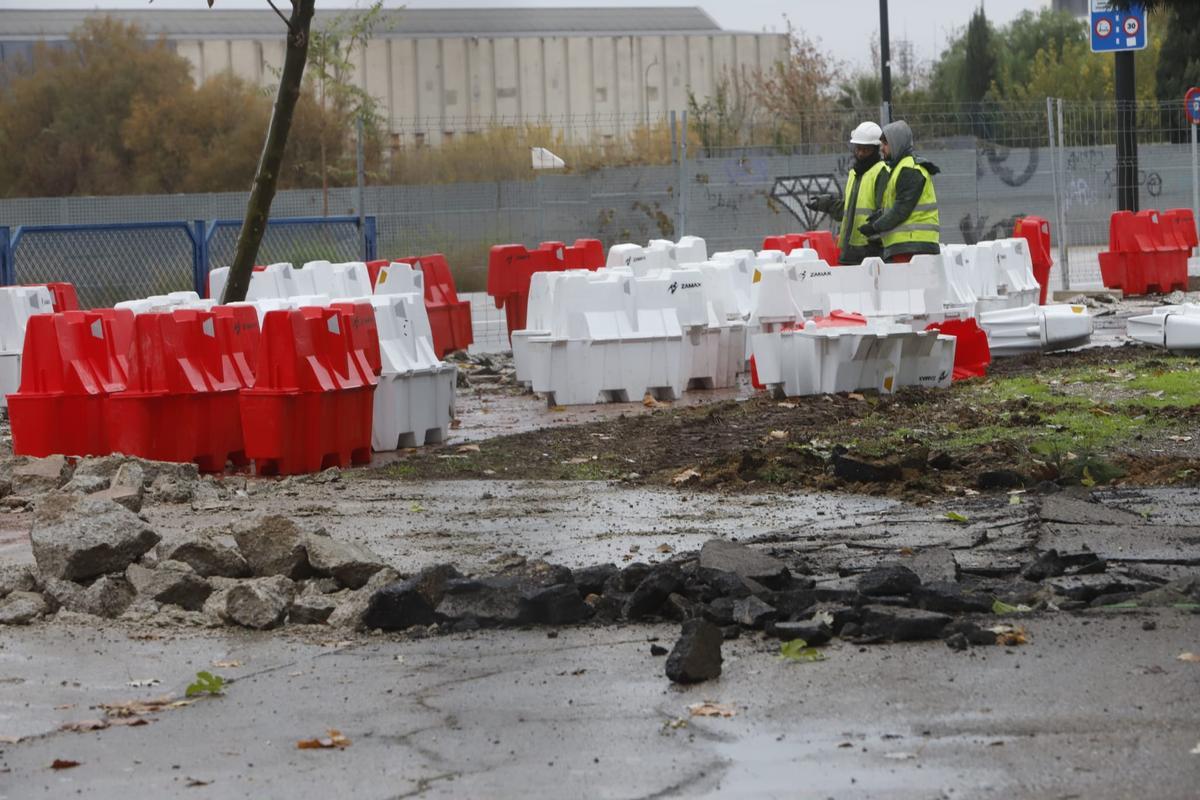 FOTOGALERÍA | Comienza la reforma de la Avenida Cataluña de Zaragoza