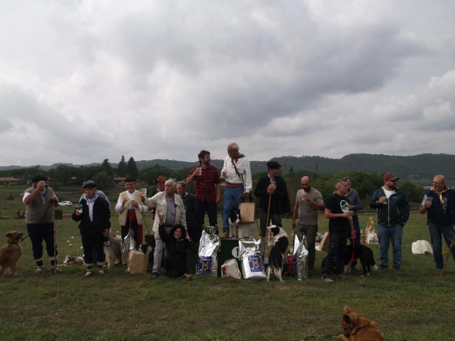 Concurs de gossos d'atura de Castellterçol