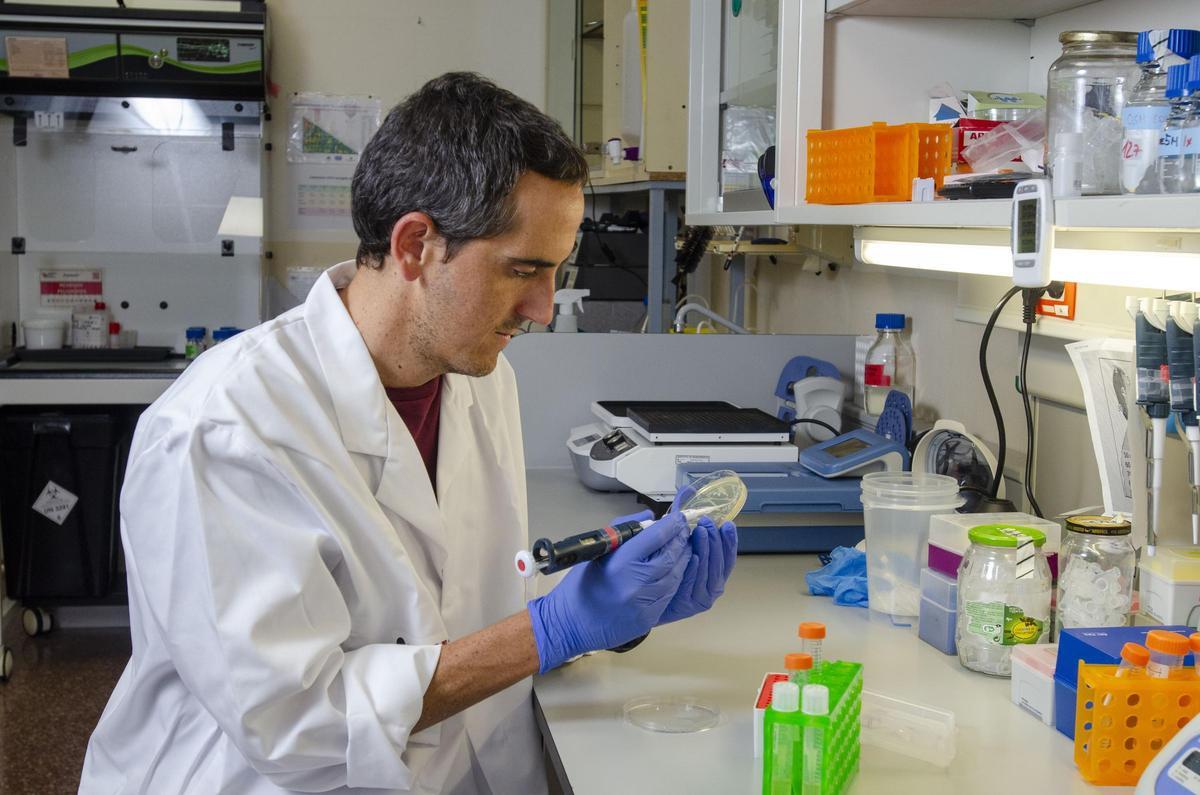 José Vicente Sánchez Mut, en su laboratorio de investigación