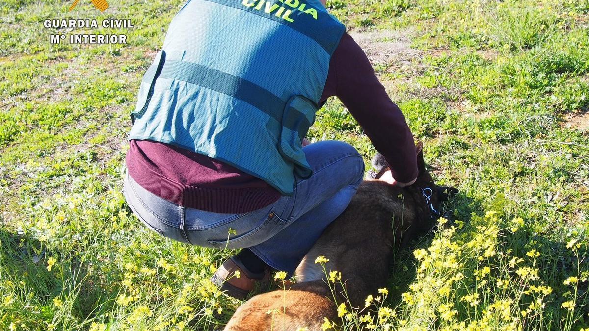 Imagen de un guardia civil acariciando a un perro.