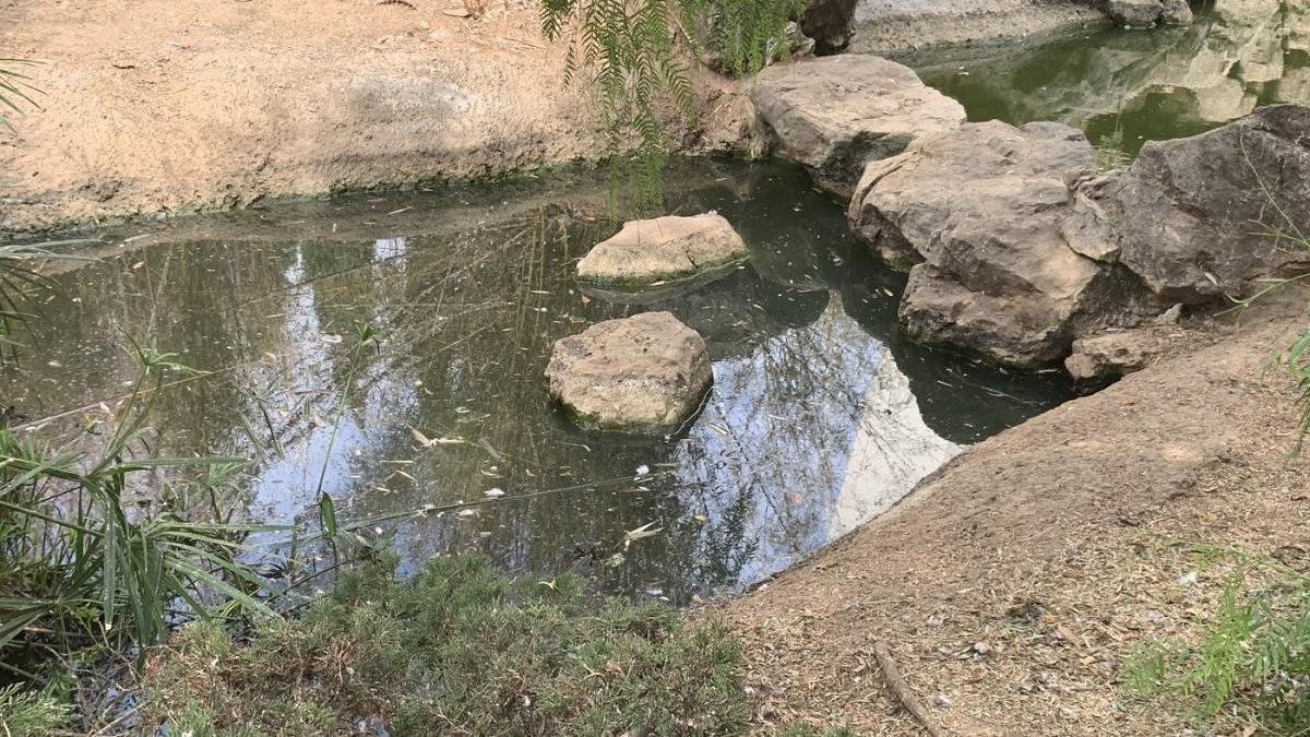 Estado de uno de los estanques del parque.