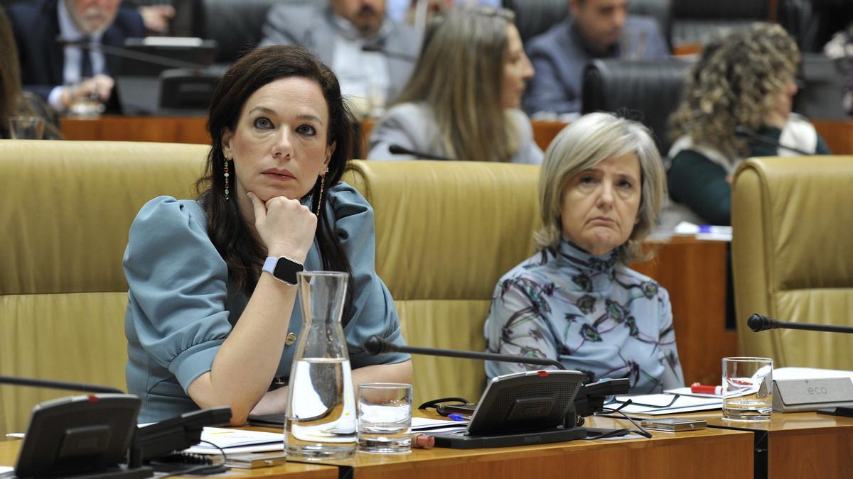 La consejera de Sanidad y Política Social, Sara García Espada, en el pleno de la Asamblea.