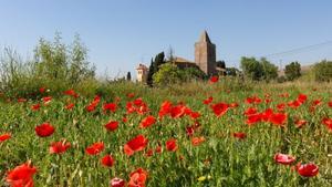 Imagen de archivo del Parc  Serralada de la Marina, en Tiana