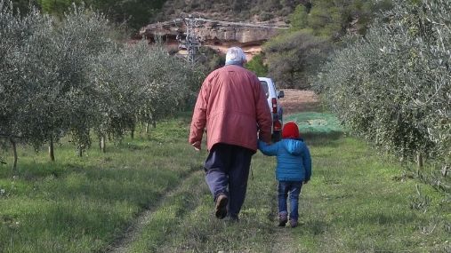 Francisco, con su nieta, entre olivos.