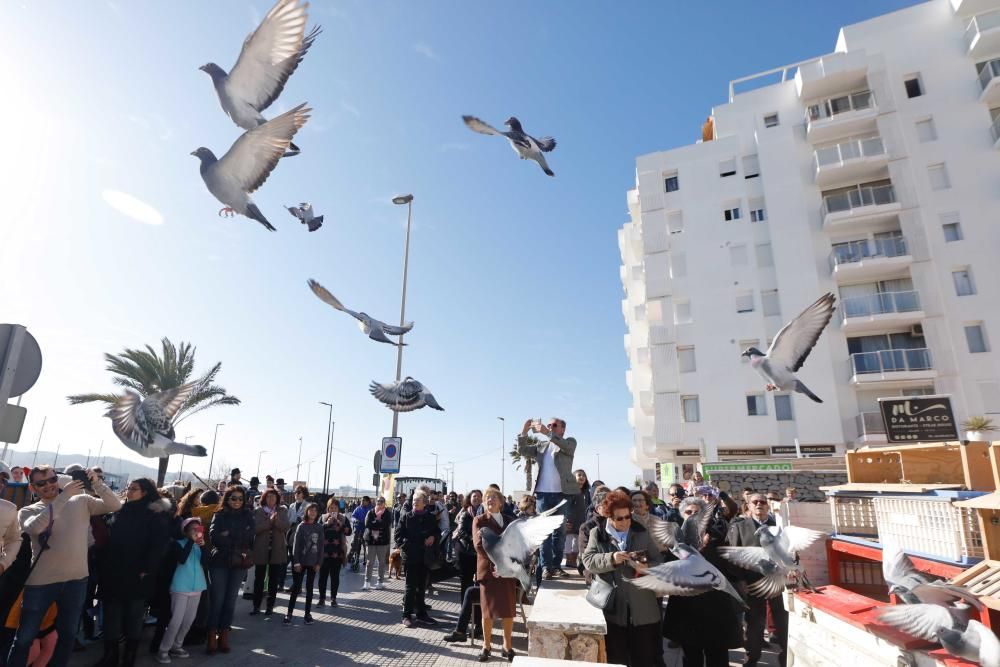 Día grande en Sant Antoni