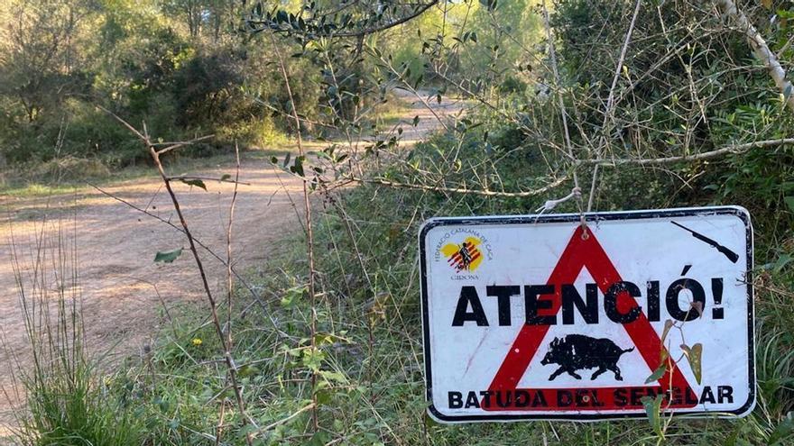 Un ciclista ferit pel tret d&#039;un caçador durant la batuda del senglar a Fitor