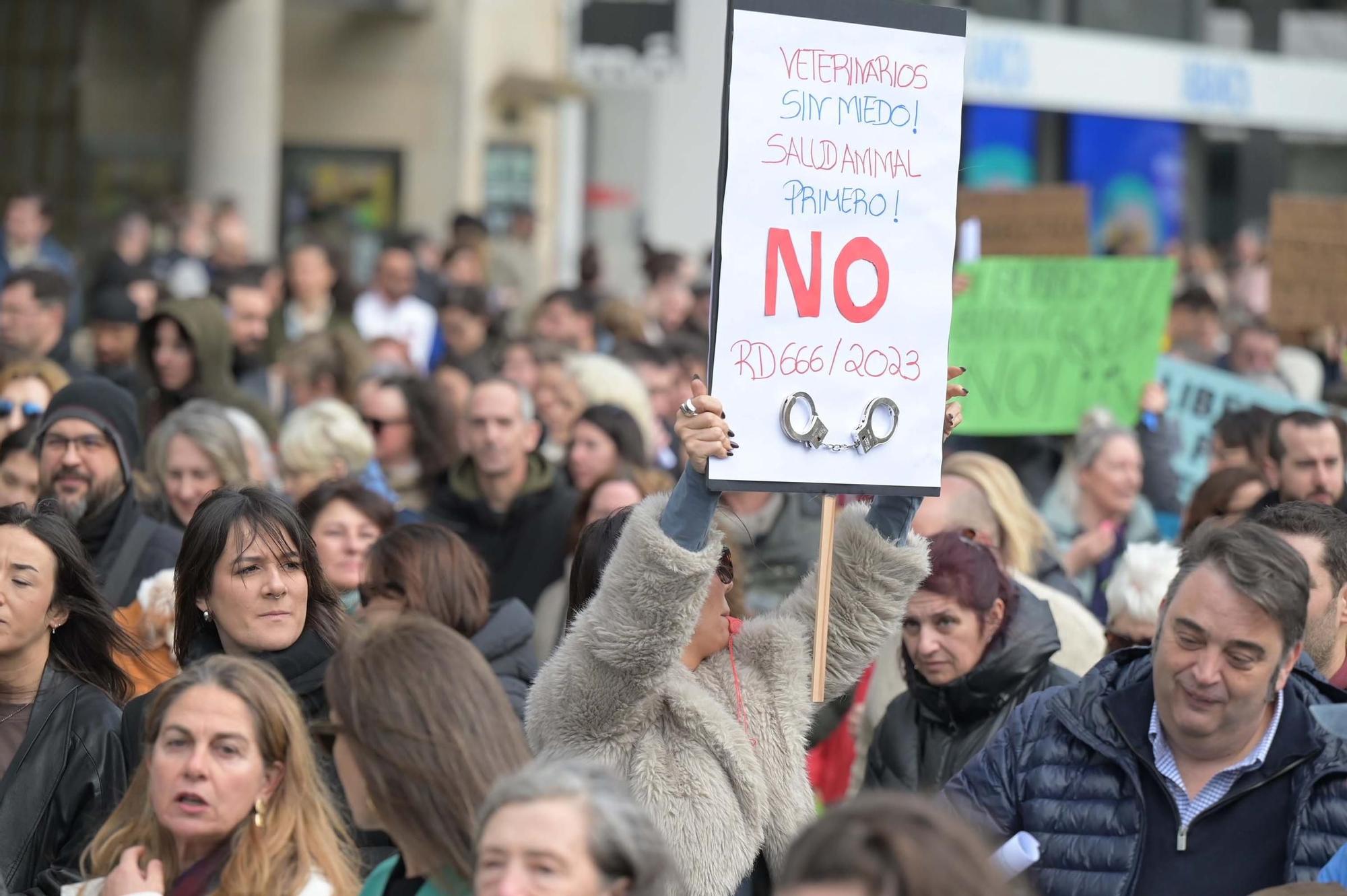 Protesta de veterinarios contra el nuevo decreto del Gobierno que regula el uso de medicamentos