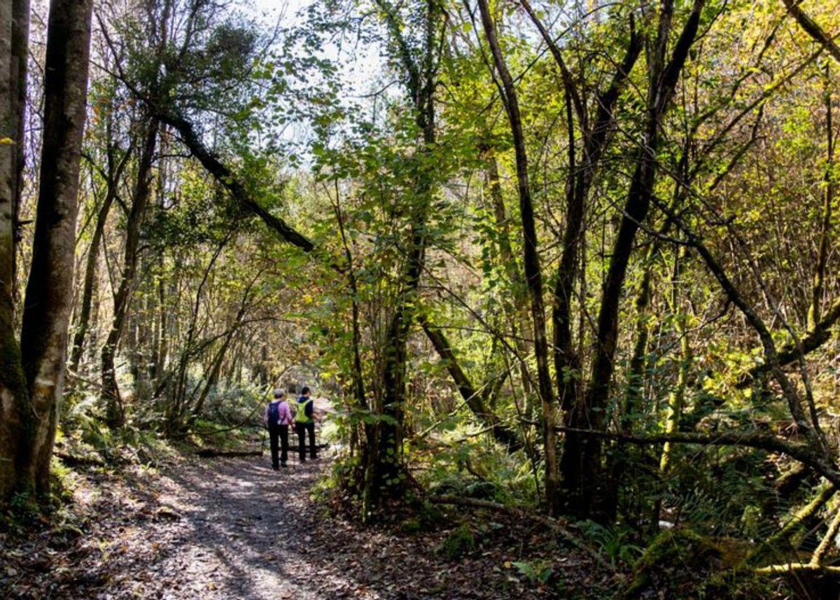 Gijón/Xixón invita a redescubrir su patrimonio y naturaleza con nuevas rutas