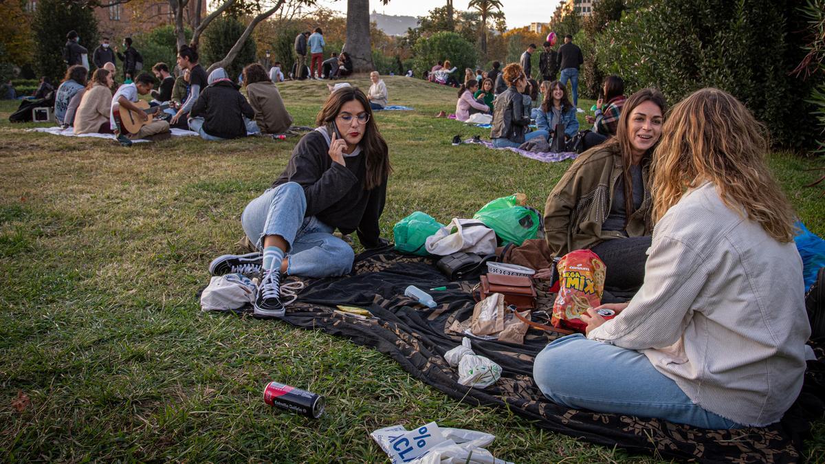 picnic