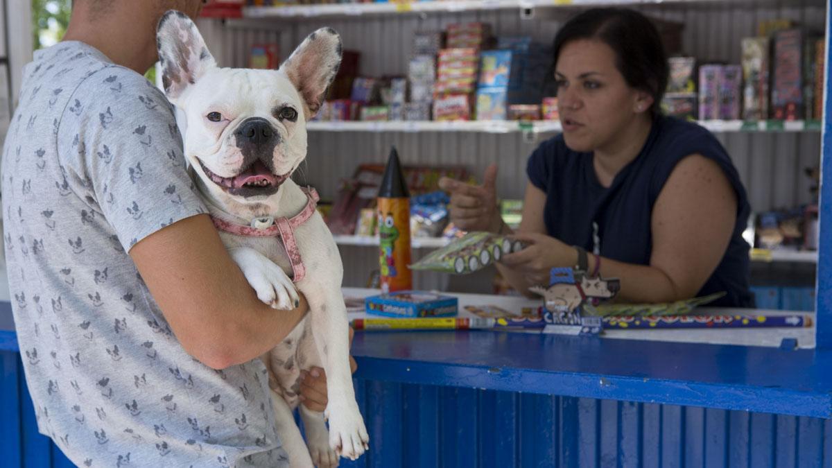 peroos-petardos-san-juan